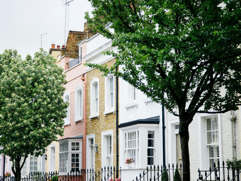 11+ Tutors in Chelsea